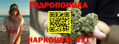 молекула духа Пугачёв