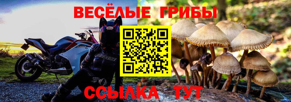 Советская Гавань  Псилоцибиновые грибы Psilocybine cubensis  Вход с VPN 