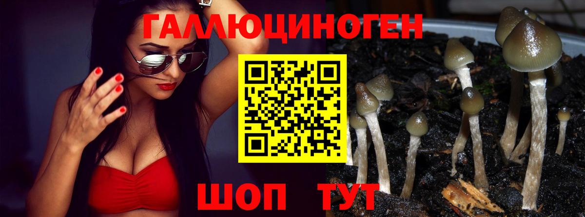Галлюциногенные грибы GOLDEN TEACHER Советская Гавань